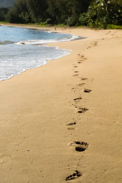 在考艾岛的脚印 — 图库照片