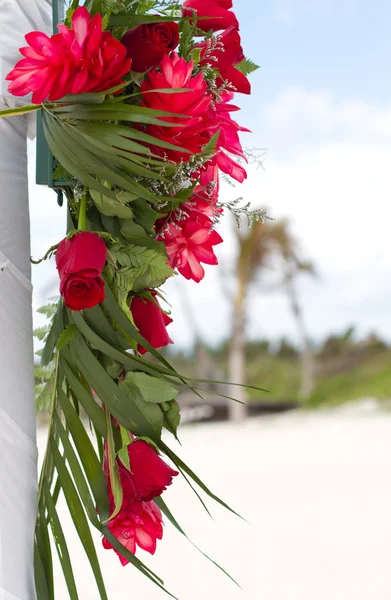 Flores Rojas en la Playa —  Fotos de Stock