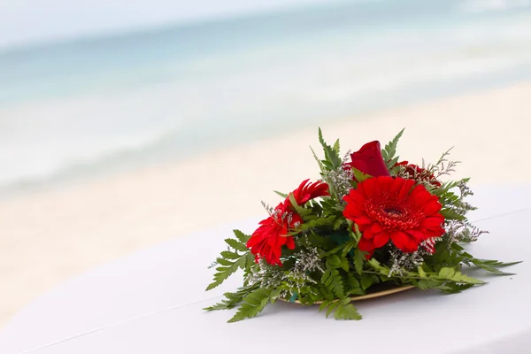 在海滩上的红色花朵 — 图库照片