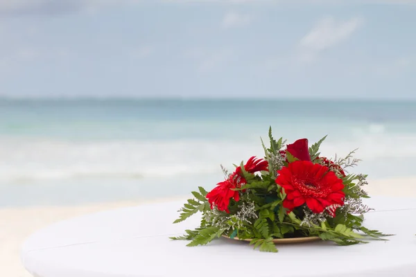 Röda blommor på stranden — Stockfoto