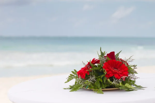 Rode bloemen op het strand — Stockfoto