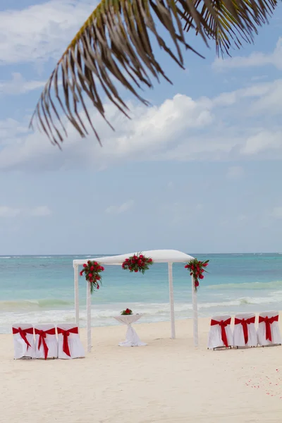 Flores Rojas en la Playa —  Fotos de Stock