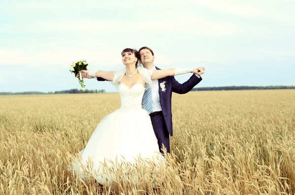 Свадьба — стоковое фото