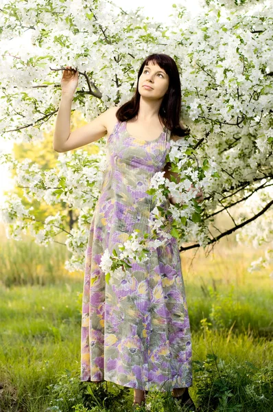 Mooie vrouw. — Stockfoto