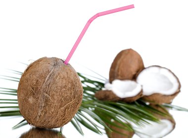 Coconut clipart