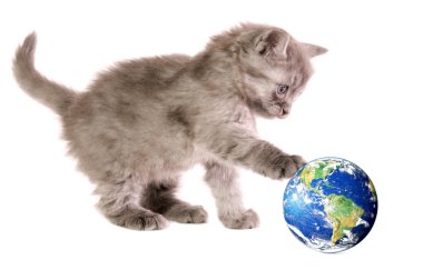 Kitten with ball clipart