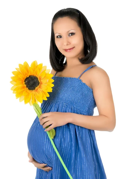 Terhes lány — Stock Fotó