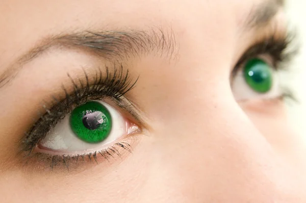 Augen grün — Stockfoto
