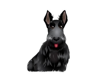 Scottish Terrier clipart