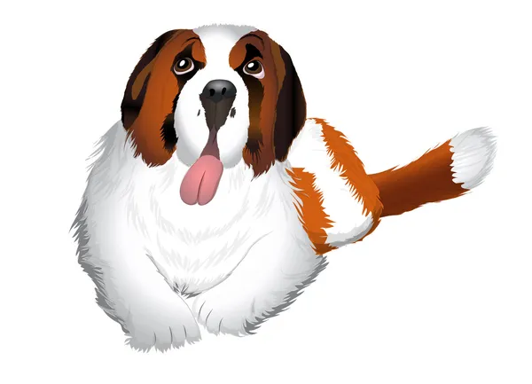 San Bernardo perro Ilustración — Vector de stock