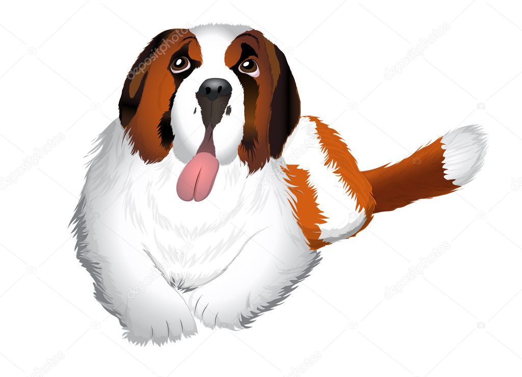 St Bernard dog Illustration