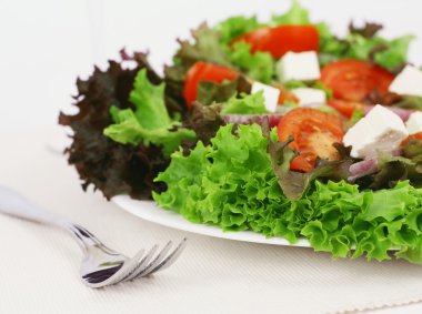 salata.