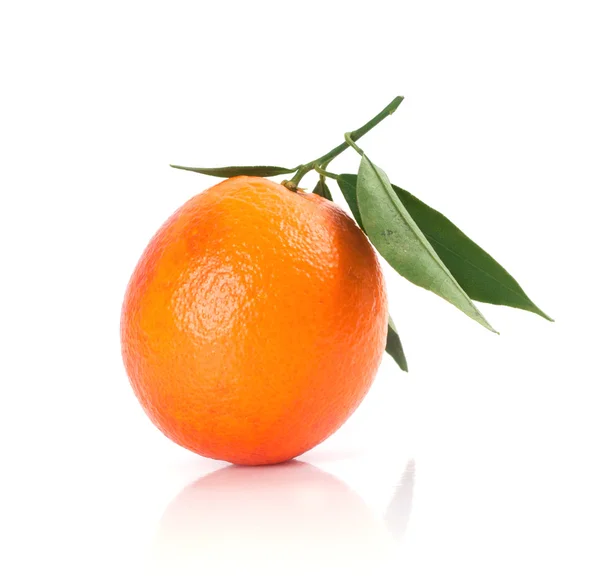 Ώριμο πορτοκάλι με φύλλα σε άσπρο φόντο — Φωτογραφία Αρχείου
