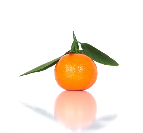 Uma mandarina isolada em branco — Fotografia de Stock