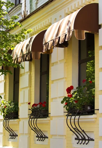 stock image Red flowers on the windowsills of a yellow house