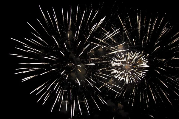 Fireworks on a dark night sky — Stock Photo, Image
