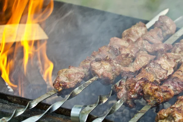 stock image Grilled meat on skewers to grill