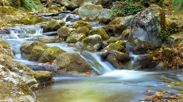 Stock image The beautiful running water in forest river