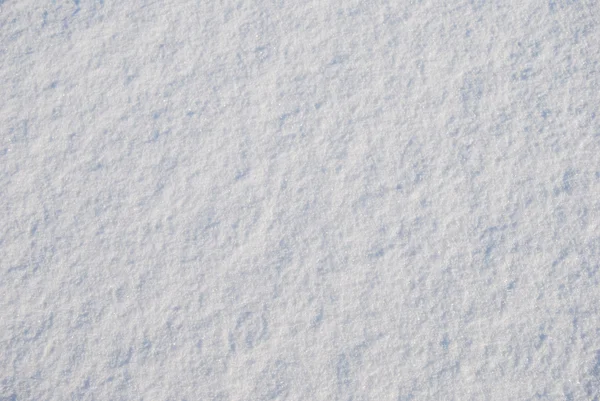 Snö en ren — Stockfoto