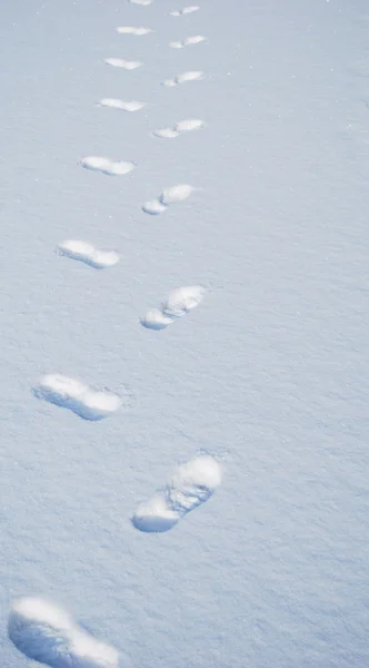 Snö fotspår — Stockfoto