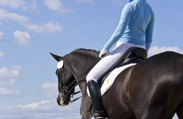 Cavalo equestre contra um céu azul — Fotografia de Stock