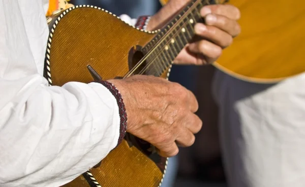 Stock image Man playing on the national musical instrument