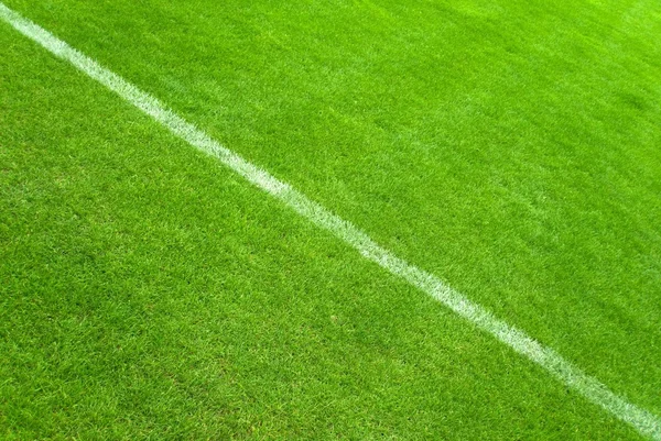 Soccer grass and white lines — Stock Photo, Image