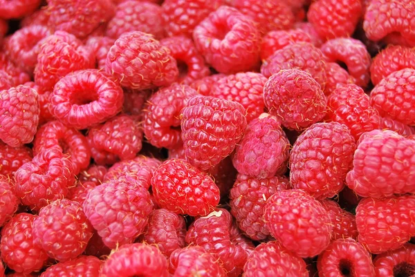 stock image Background of raspberries