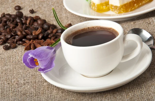 Kopje koffie en een paarse bloem — Stockfoto