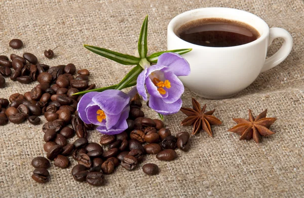 Tazza di caffè e un fiore viola — Foto Stock