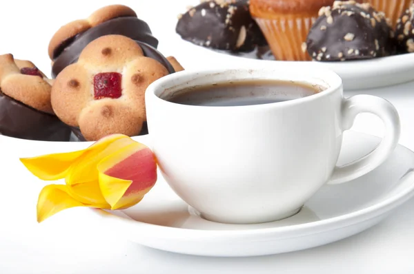 Tasse Kaffee, Kekse, Schokolade und Blütentulpe — Stockfoto