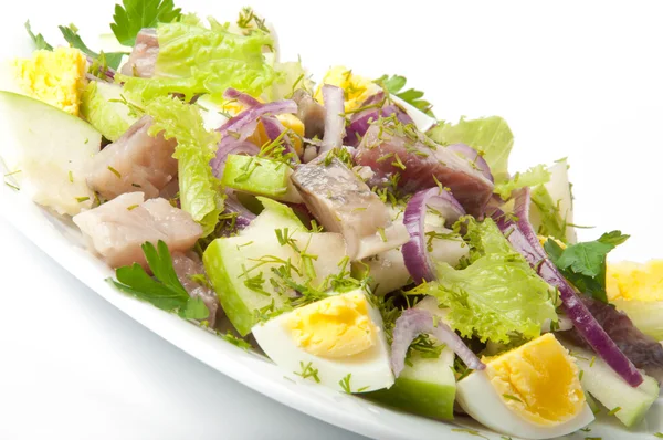 Ringa balığı salatası, elma ve yumurta — Stok fotoğraf