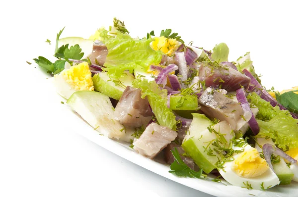 Ringa balığı salatası, elma ve yumurta — Stok fotoğraf
