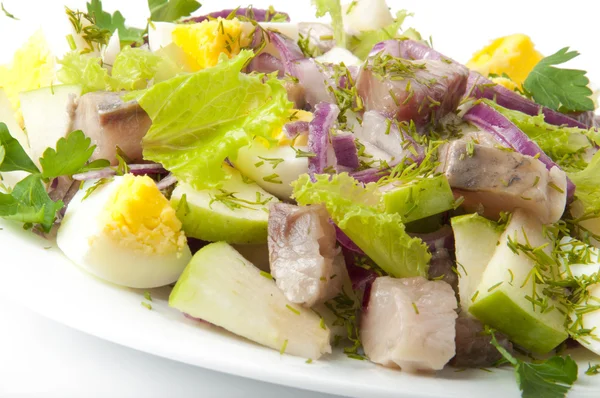 Herring salad, apples and eggs — Stock Photo, Image
