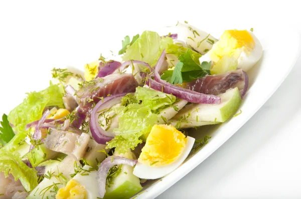 Салат из сельди, яблок и яиц — стоковое фото
