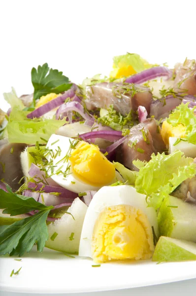 Salada de arenque, maçãs e ovos — Fotografia de Stock