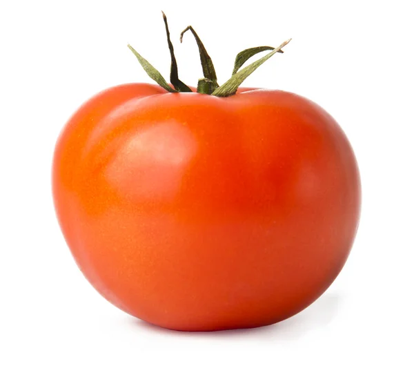 stock image Tomato