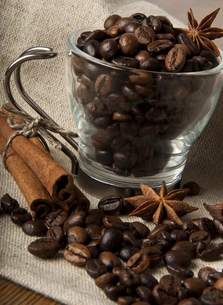 Κόκκοι του καφέ και μπαχαρικά — Φωτογραφία Αρχείου