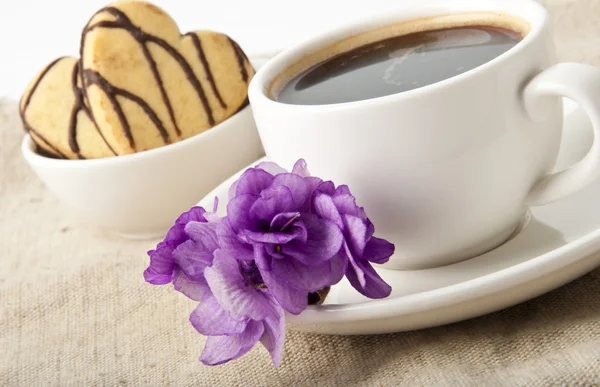 Šálek kávy a cukroví s čokoládou a fialová — Stock fotografie