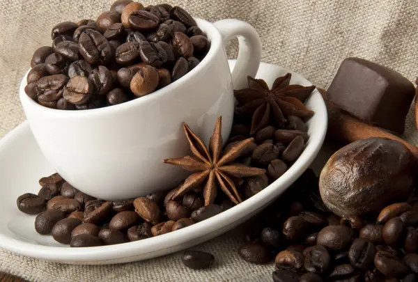 Grani e spezie di caffè — Foto Stock