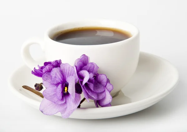 Šálek kávy a cukroví s čokoládou a fialová — Stock fotografie