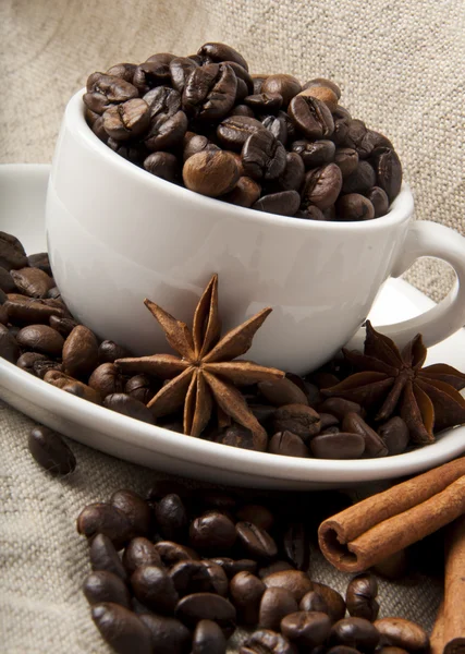 Zrna kávy a koření — Stock fotografie