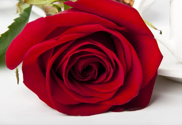 Ρομαντικό πρωινό καφέ με κόκκινο τριαντάφυλλο — Φωτογραφία Αρχείου