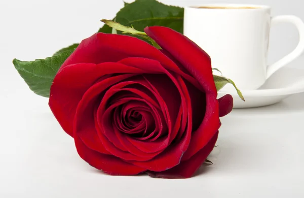 Desayuno romántico con café y rosa roja —  Fotos de Stock