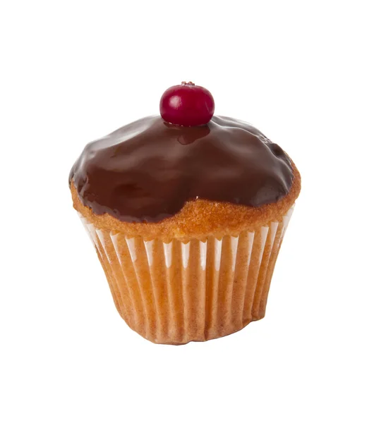 Cupcake with chocolate icing — Stock Photo, Image