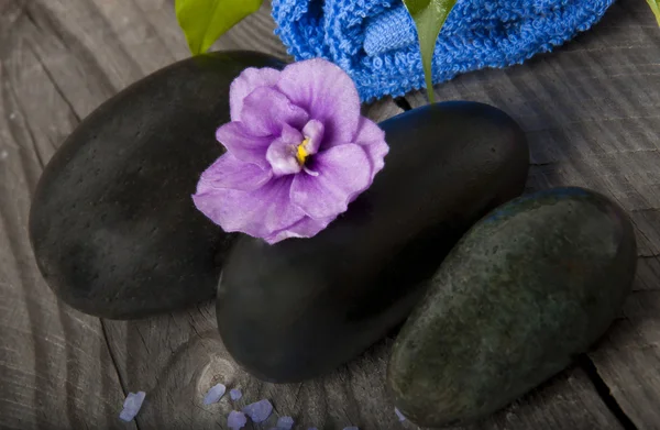 Stones with purple flower and lavender salt — Stock Photo, Image