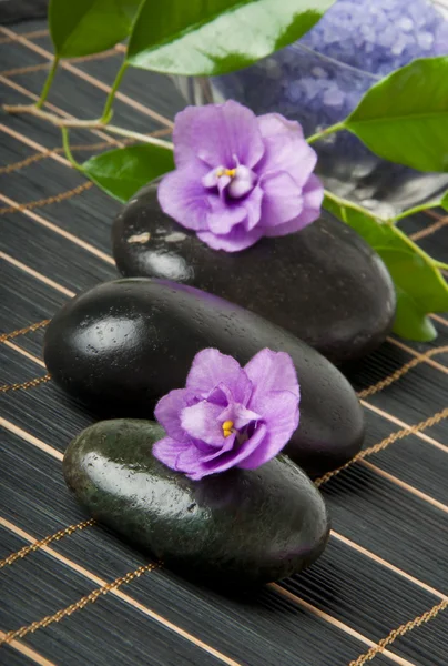 Stones with purple flower and lavender salt — Stock Photo, Image