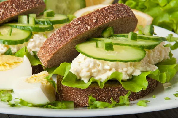 朝食にチーズと卵とキュウリのサンドイッチでヘルシー — ストック写真
