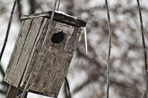 Старый домик для птиц — стоковое фото