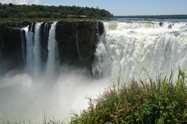 Iguazu Şelaleleri